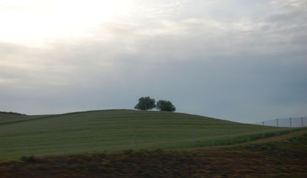 paisaje andaluz 