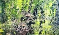 NATURALEZA