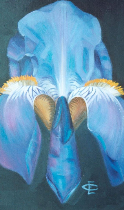 Iris