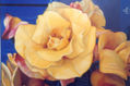 rosas amarillas