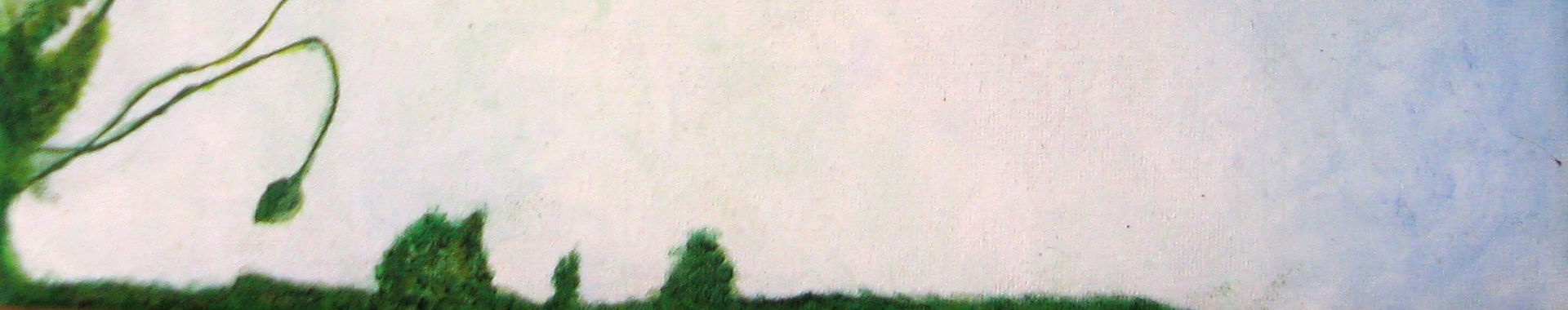 Imagen de portada