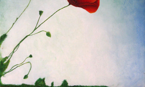Flores
