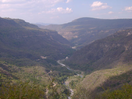 Guadalajara2