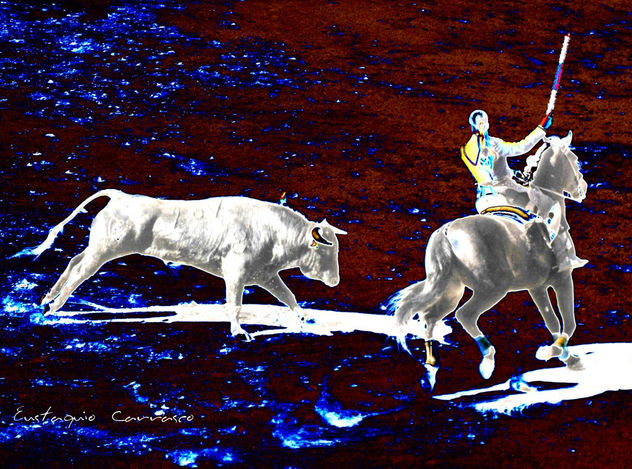 Rejoneadora, caballo y toro