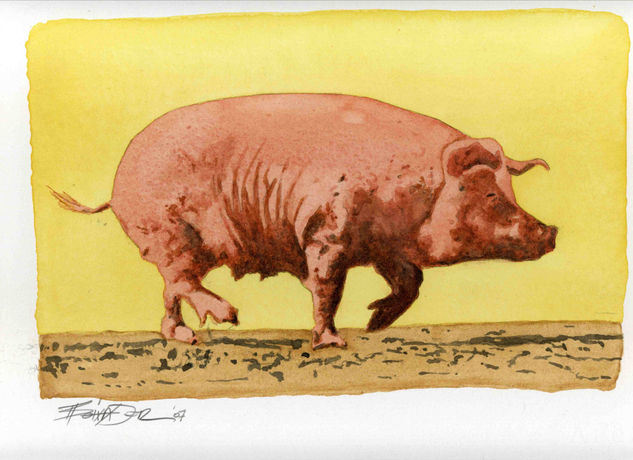 cochon Acuarela Papel Animales