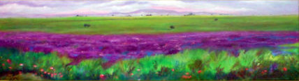 Paisaje