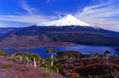 Volcan Llaima