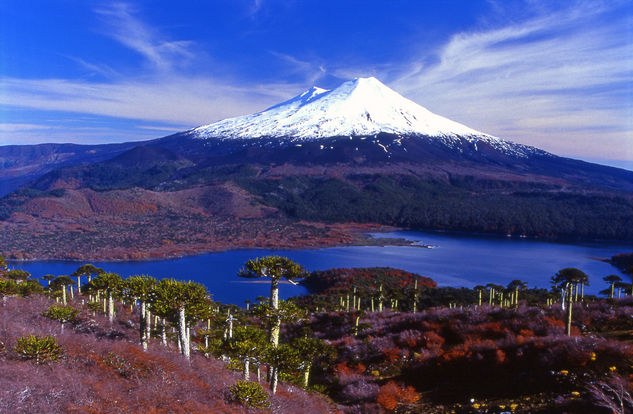 Volcan Llaima 