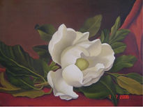 Magnolia