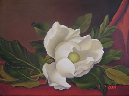 Magnolia