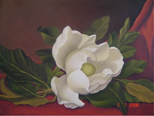 magnolia Oil Canvas