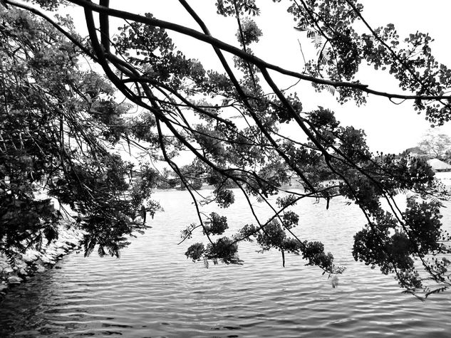 Macuili y Alguna Laguna De Las Ilusiones Viajes Blanco y Negro (Digital)