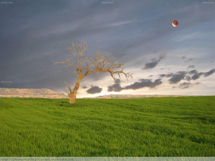 Paisaje