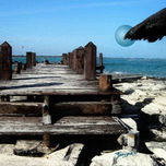 FOTOGRAFIA thumbnail 2