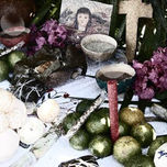 FOTOGRAFIA thumbnail 1