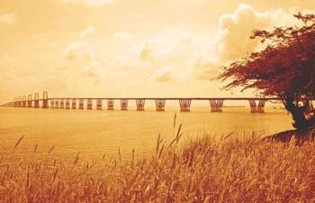 "Un Puente desde una poetica visual"