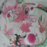 pajaros thumbnail 1
