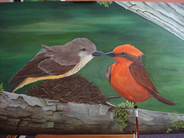 Vermilion flycatchers Oil Canvas Animals