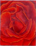 rosa para ti