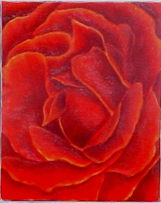 Rosa para ti