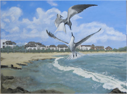 Amor de gaviotas