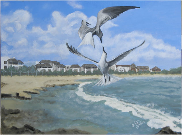 Amor de gaviotas
