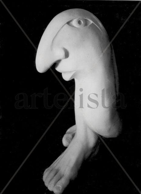 Narciso
