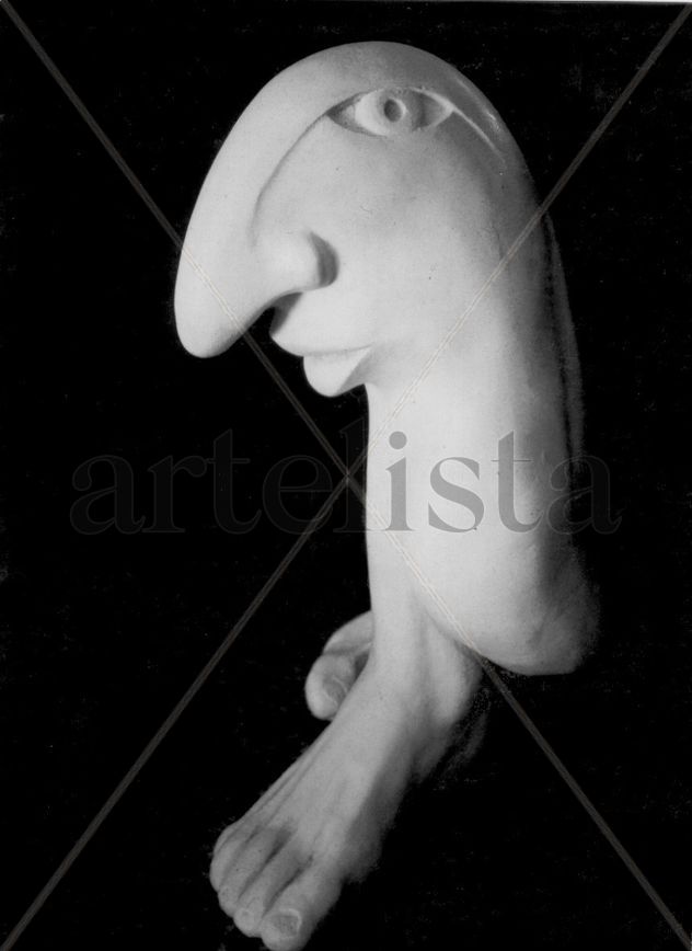 NARCISO
