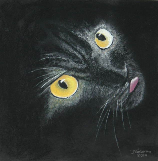 GATO PRIETO