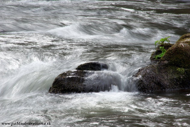 AGUA EN MOVIMIENTO III