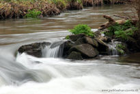 Agua en movimiento...