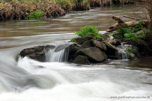 AGUA EN MOVIMIENTO IIII