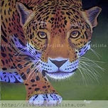 JAGUARES thumbnail 1