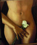 la flor y el desnudo