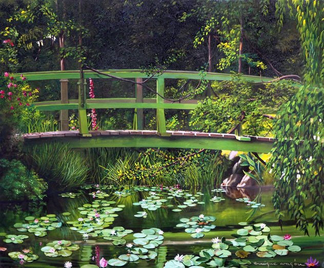 Monet, con distinta mirada