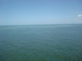 MAR