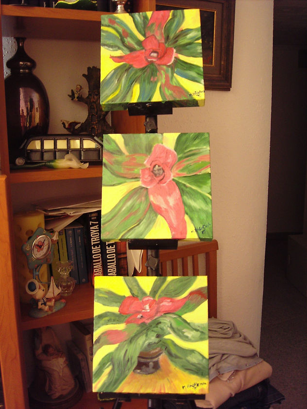 flores 20 x 20