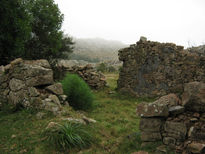Si estas ruinas...