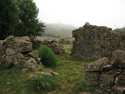 Si estas ruinas...