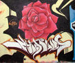 estimulos rosa