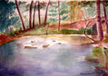 RIO Y BOSQUE