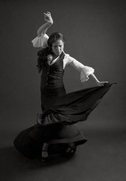 Flamencos 6