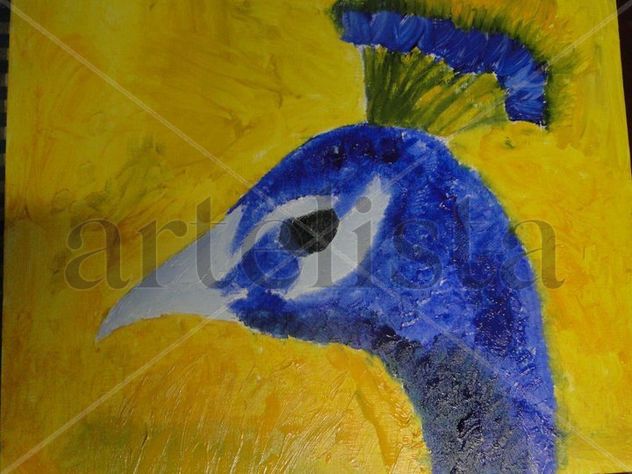 pavo