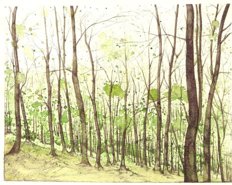 Bosque