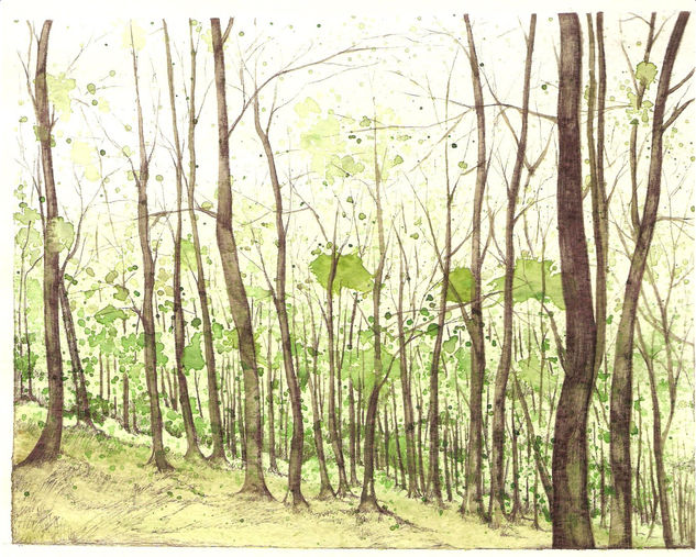 Bosque Watercolour Paper Landscaping