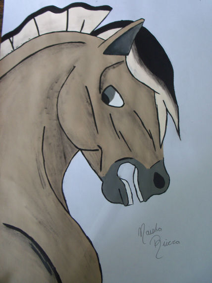 Cara caballo
