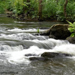 AGUA, RÍO,.... thumbnail 1
