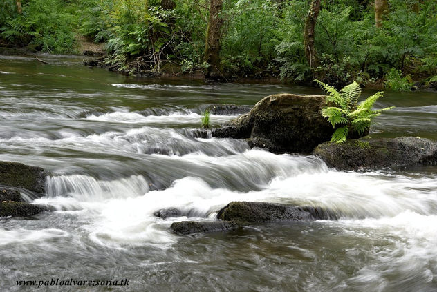 AGUA EN MOVIMIENTO V