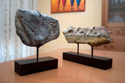 Toro y pino