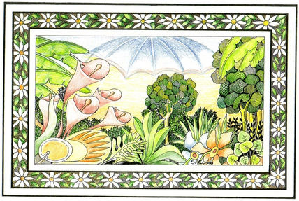 Naturaleza